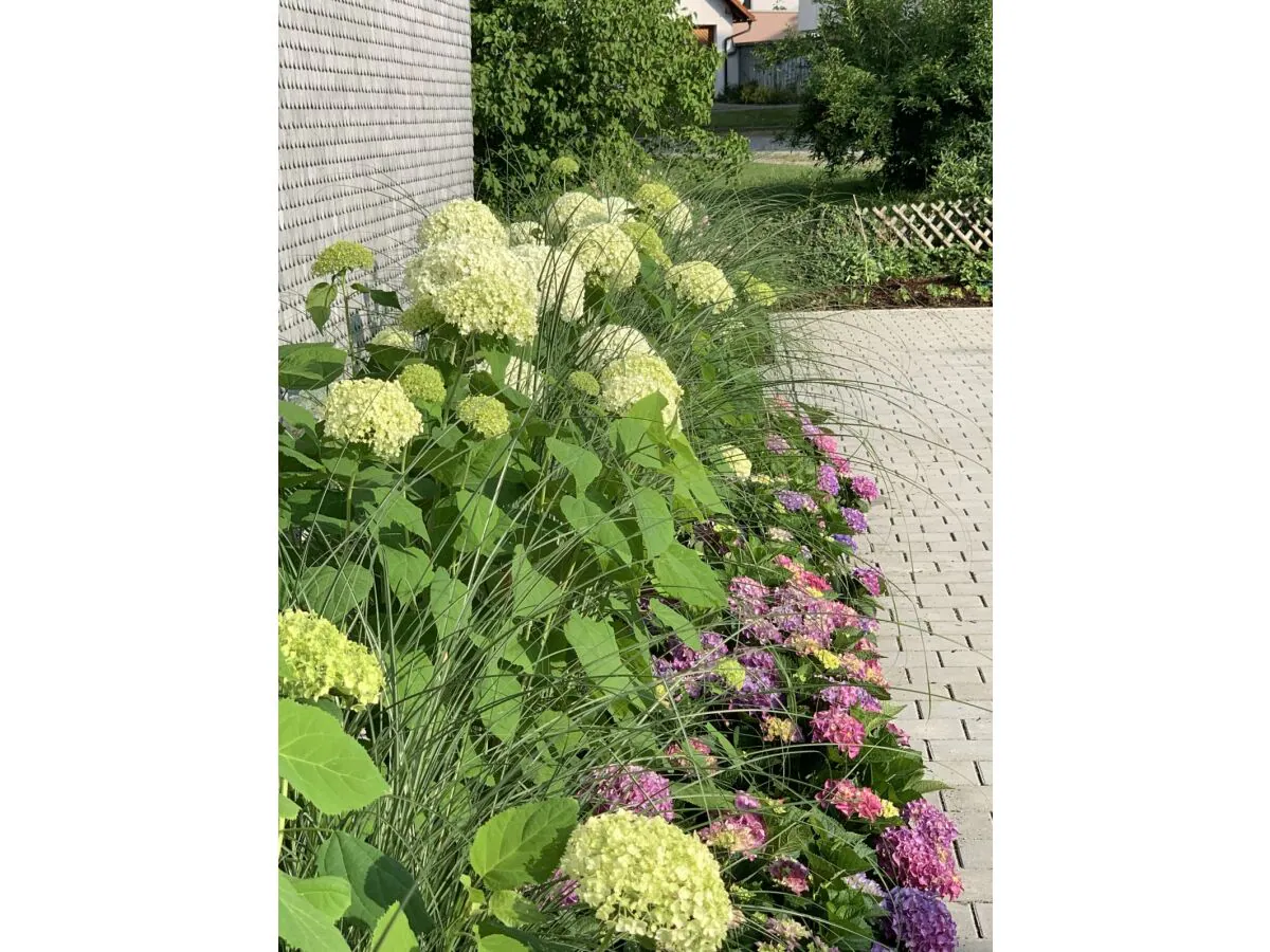 Holiday apartment Maulbeere 1 - Outdoor photo 2