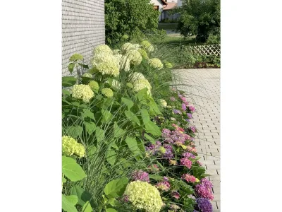 Holiday apartment Maulbeere 1 - Outdoor photo 2