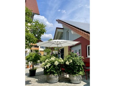 Holiday apartment Maulbeere 1 - Outdoor photo 6