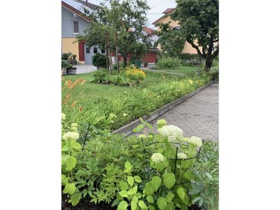 Holiday apartment Maulbeere 1 - Outdoor photo 8