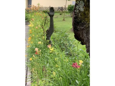 Holiday apartment Maulbeere 1 - Outdoor photo 9