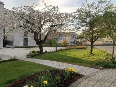 Holiday apartment Maulbeere 1 - Outdoor photo 12