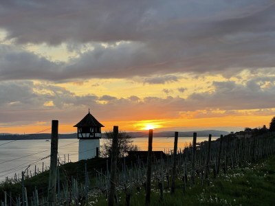 Holiday apartment Maulbeere 1 - Environment photo 32