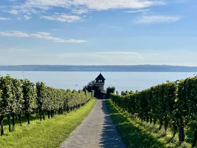 Holiday apartment Maulbeere 1 - Environment photo 33