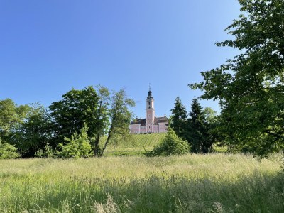 Holiday apartment Maulbeere 1 - Environment photo 34