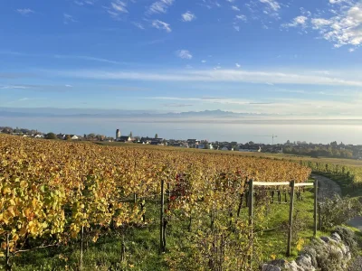 Holiday apartment Maulbeere 1 - Environment photo 38