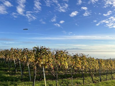 Holiday apartment Maulbeere 1 - Environment photo 39