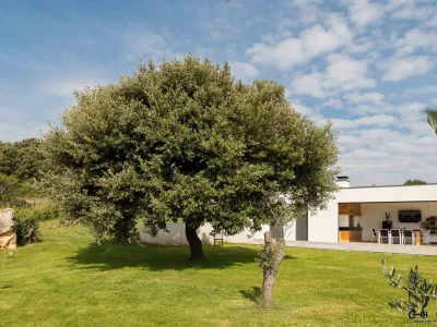 Villa Orion - Outdoor photo 11