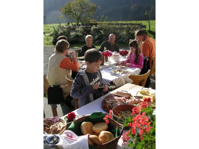 Apartment "Wiese" at the Jägerhof - Environment photo 18