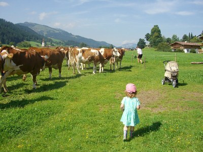 Apartment "Goinger Halt" at the Jägerhof. - Environment photo 16