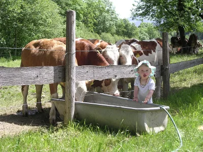 Holiday house Wooden holiday house on a farm - Environment photo 15