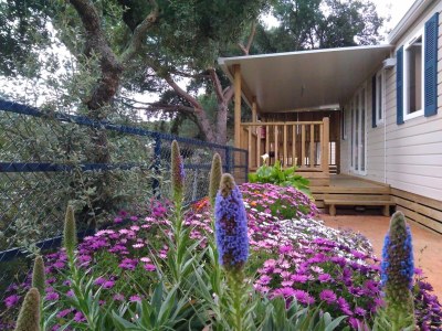 Holiday house Bungalow in Calella with Sea & Mountain Views - Outdoor photo 8