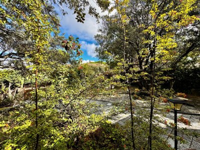 Holiday house Farmhouse Apartment with Pool - Outdoor photo 3