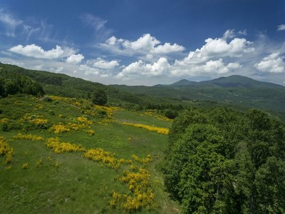 Holiday house Fitnessraum und Panoramablick; Bauernhaus - Outdoor photo 5