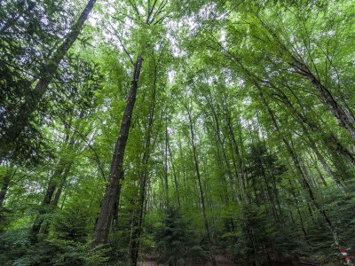 Holiday house Fitnessraum und Panoramablick; Bauernhaus - Environment photo 33