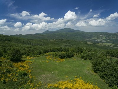 Holiday house Fitnessraum und Panoramablick; Bauernhaus - Environment photo 34