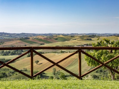 Apartment Bauernhof in Marken mit Pool & Verdicchio-Weinen - Outdoor photo 7