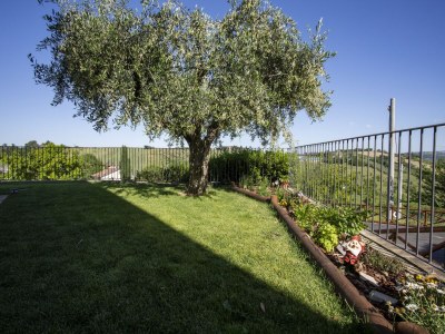 Apartment Bauernhof in Marken mit Pool & Verdicchio-Weinen - Outdoor photo 22