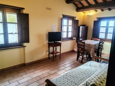 Apartment Bauernhof in Marken mit Pool & Verdicchio-Weinen - Features photo 26