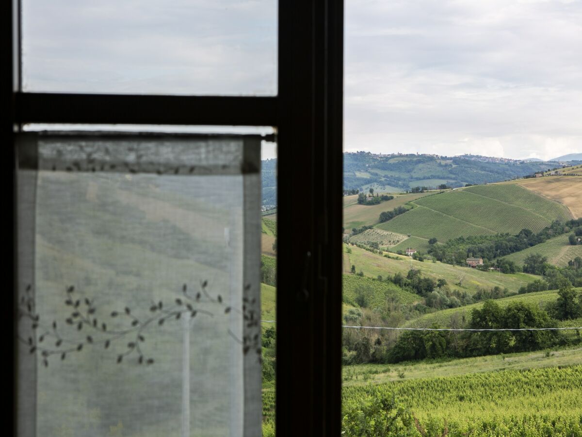 Holiday house Farmhouse in Marche with Pool & Wine Tours - Outdoor photo 2