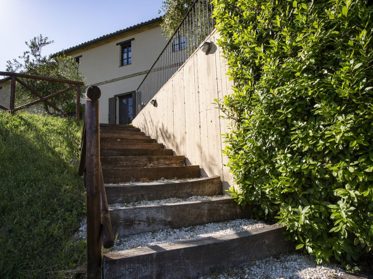 Holiday house Farmhouse in Marche with Pool & Wine Tours - Outdoor photo 5