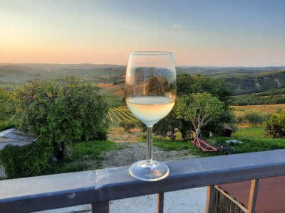 Holiday house Farmhouse in Marche with Pool & Wine Tours - Outdoor photo 37