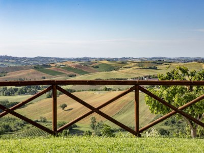 Apartment Wohnung in Marche mit Pool & Weintouren - Outdoor photo 12