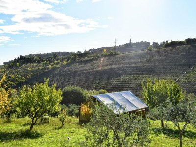 Holiday house Luxury Glamping Near Adriatic Beaches - Outdoor photo 7