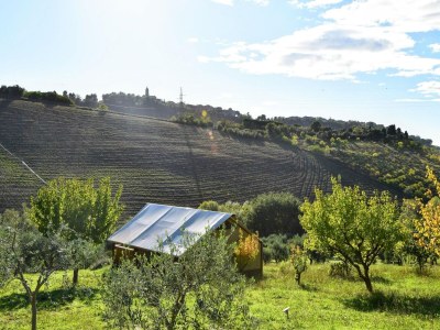 Apartment Wohnung in Marken mit Pool nahe Adria - Outdoor photo 13