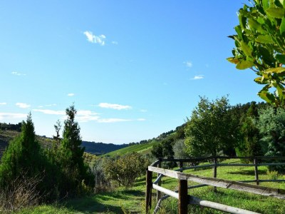 Apartment Wohnung in Marken mit Pool nahe Adria - Outdoor photo 20
