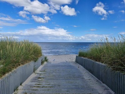 Holiday house Secluded Lagoon Retreat in Hou-By Traum - Outdoor photo 34