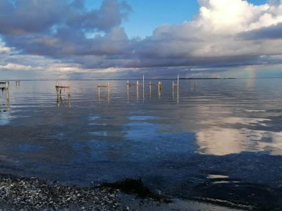 Holiday house 4 Sterne Ferienhaus in Hejls-By Traum - Outdoor photo 32