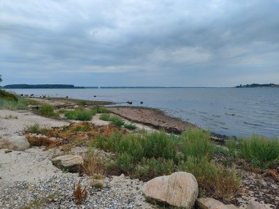 Holiday house 5 Personen Ferienhaus in Aabenraa-By Traum - Outdoor photo 16