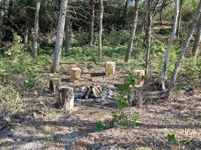 Holiday house 5 Sterne Ferienhaus in Vestervig-By Traum - Outdoor photo 15