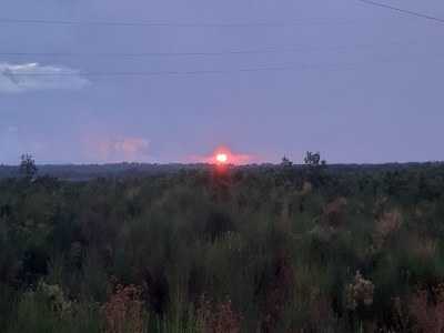 Holiday park Wohnung in Privlaka nahe Sandstränden - Environment photo 30