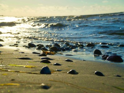 Holiday house 4 Sterne Ferienhaus in Sydals-By Traum - Outdoor photo 22