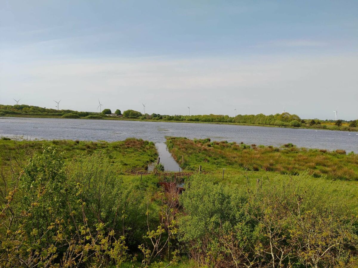 Holiday house 6 Personen Ferienhaus in Give-By Traum - Outdoor photo 3