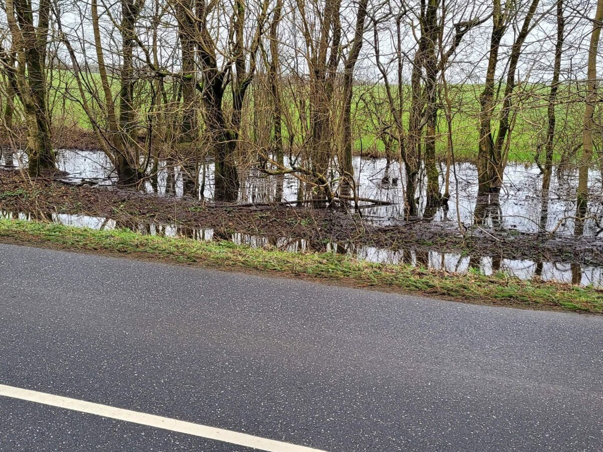 Holiday house 6 Personen Ferienhaus in Give-By Traum - Outdoor photo 5