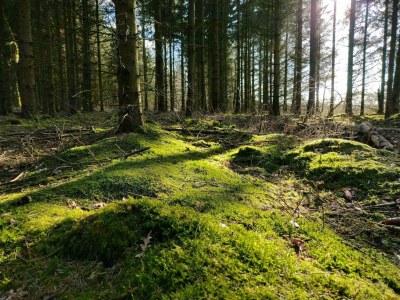 Holiday house 6 Personen Ferienhaus in Give-By Traum - Outdoor photo 8