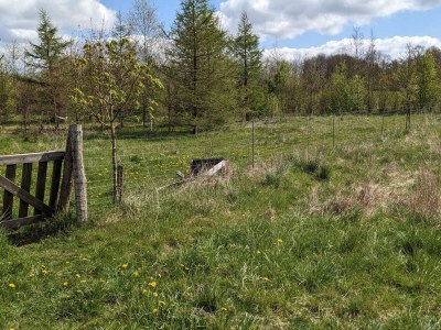 Holiday house 6 Personen Ferienhaus in Give-By Traum - Outdoor photo 34