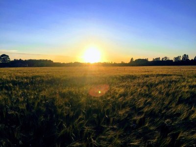 Holiday house 6 Personen Ferienhaus in Give-By Traum - Outdoor photo 36