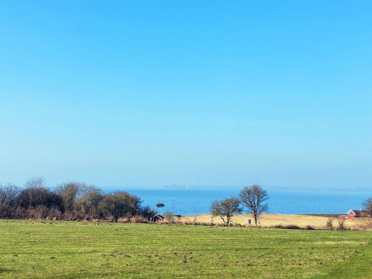 Holiday house 5 Sterne Ferienhaus in Faaborg - Outdoor photo 3