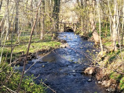 Holiday house 5 Sterne Ferienhaus in Faaborg - Outdoor photo 14