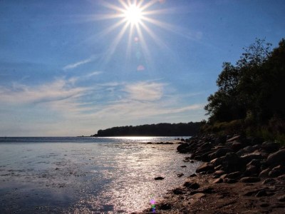 Holiday house 4 Sterne Ferienhaus in Nysted - Outdoor photo 29
