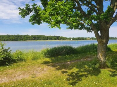 Holiday house 4 Sterne Ferienhaus in Nysted - Outdoor photo 32