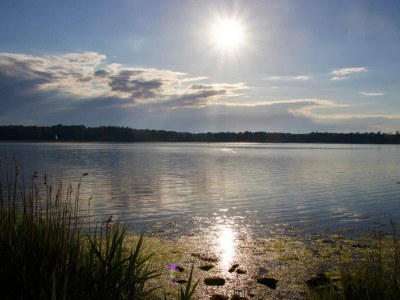 Holiday house 4 Sterne Ferienhaus in Nysted - Outdoor photo 34
