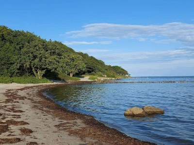 Holiday house 4 Sterne Ferienhaus in Nysted - Outdoor photo 36