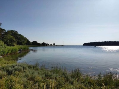 Holiday house 4 Sterne Ferienhaus in Nysted - Outdoor photo 38