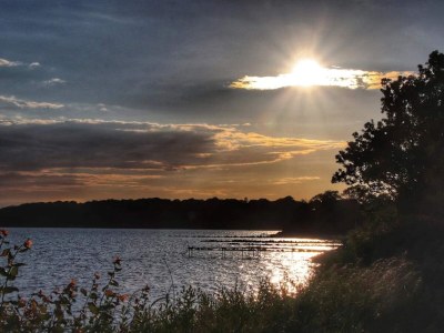 Holiday house 4 Sterne Ferienhaus in Nysted - Outdoor photo 51