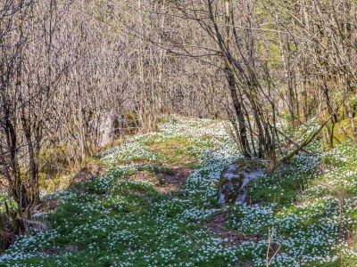 Holiday house 7 Personen Ferienhaus in lyngdal - Outdoor photo 4